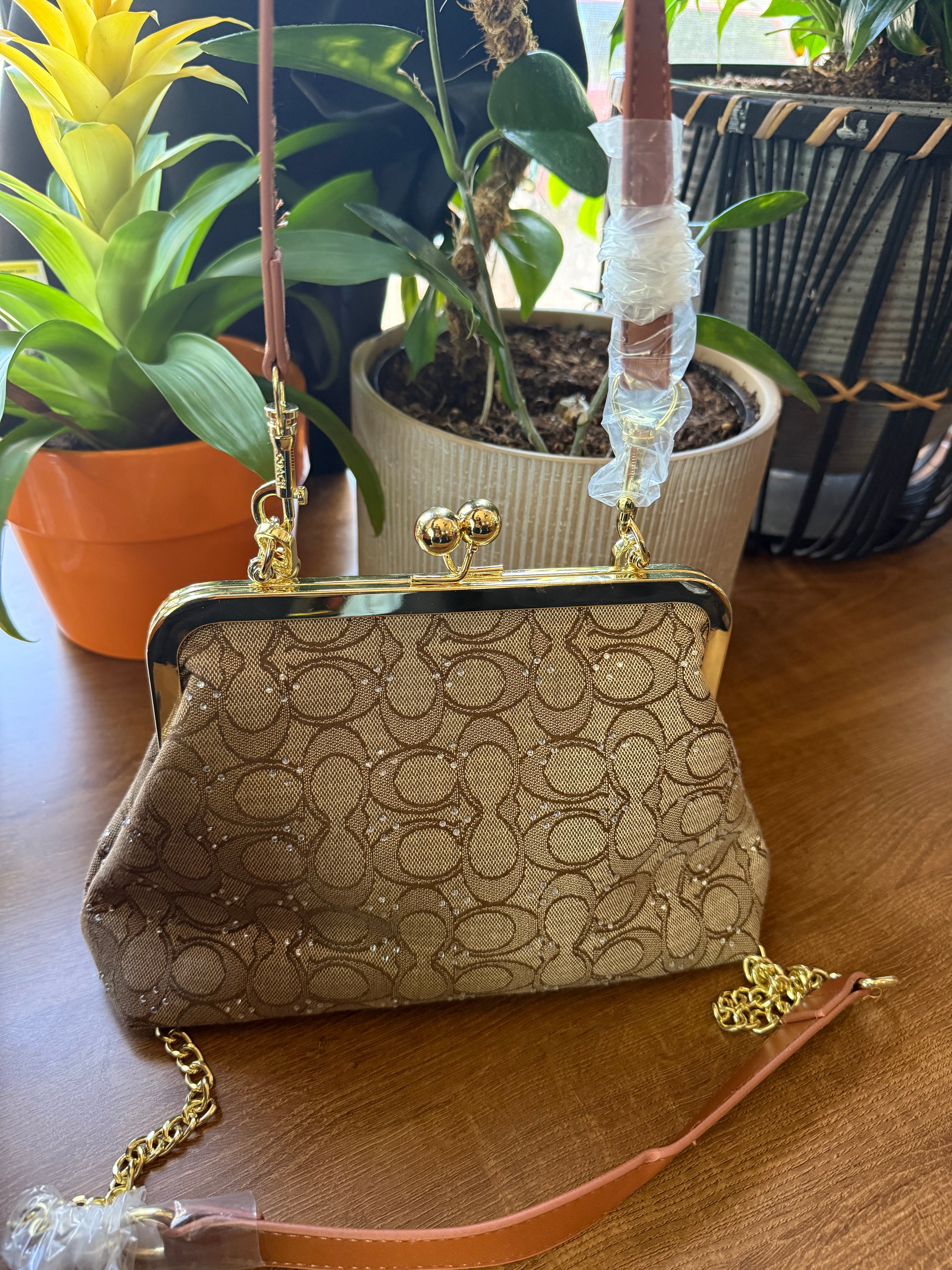 Co@ch coin bag